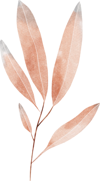 Peach Watercolor Flower